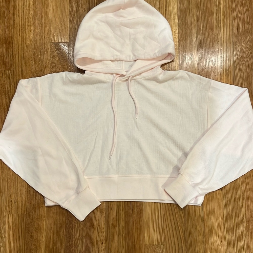 ARITZIA SUNDAY BEST HOODIE